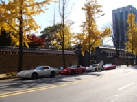 コルベット,corvette,madvettejapan,ツーリング,韓国,ソウル,福岡,北九州,兵庫,姫路,スロットカー,1/32,イベント,専門店,ユノディエール,